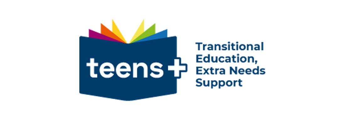 Teens Plus Branding Logo